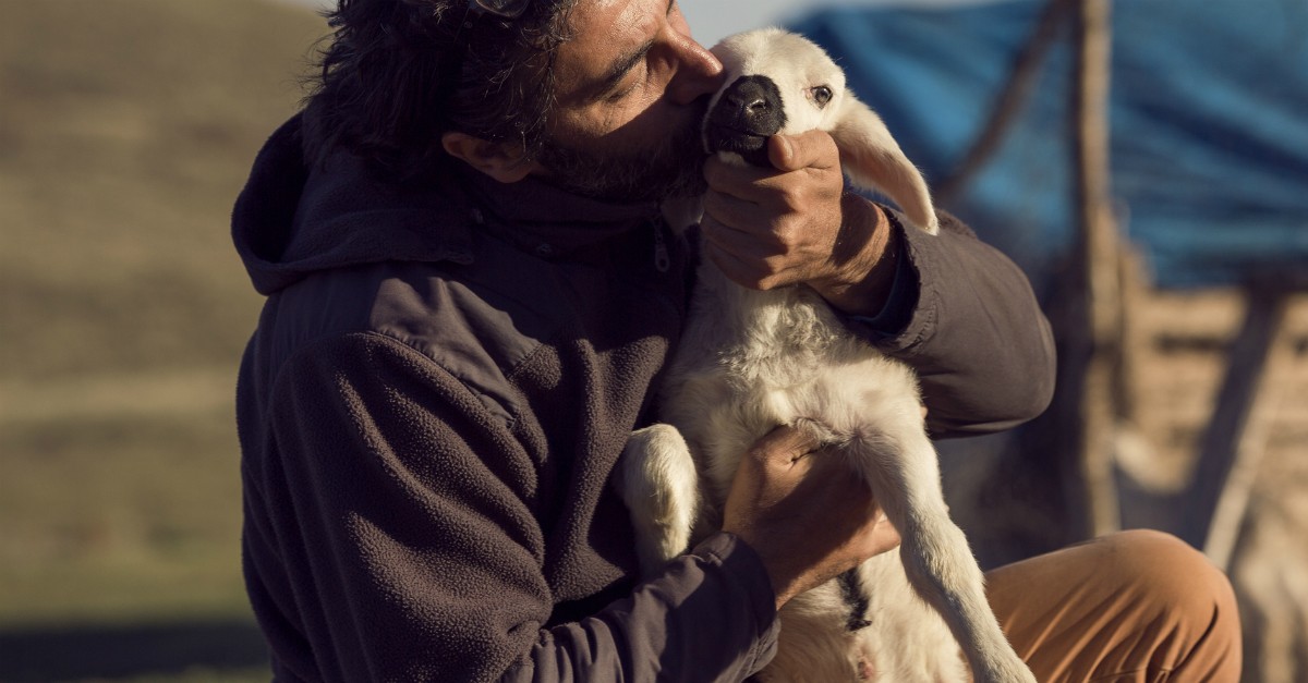 5. How Has the Image of God as Shepherd Endured throughout Biblical History?